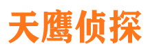 龙井侦探